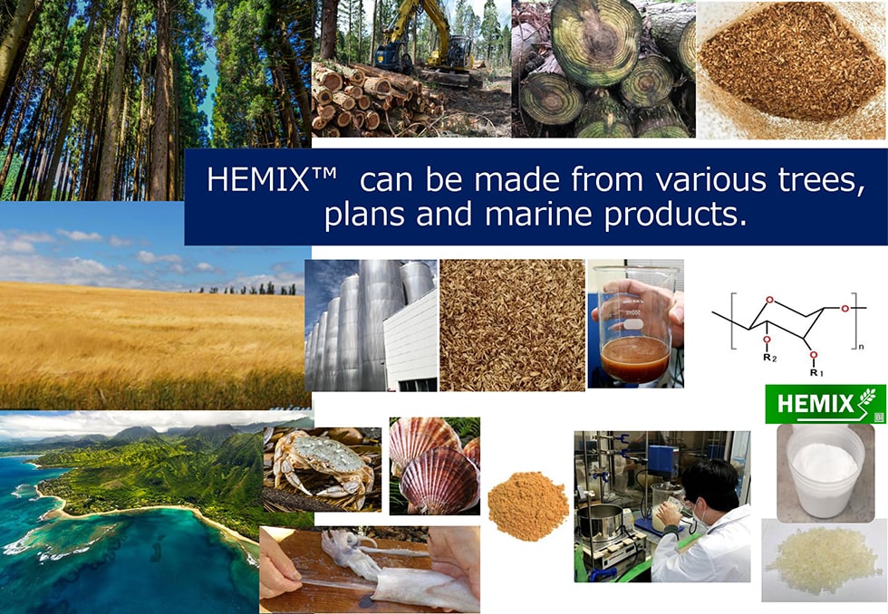 Eco Research Institute Ltd. Exhibit overview image1