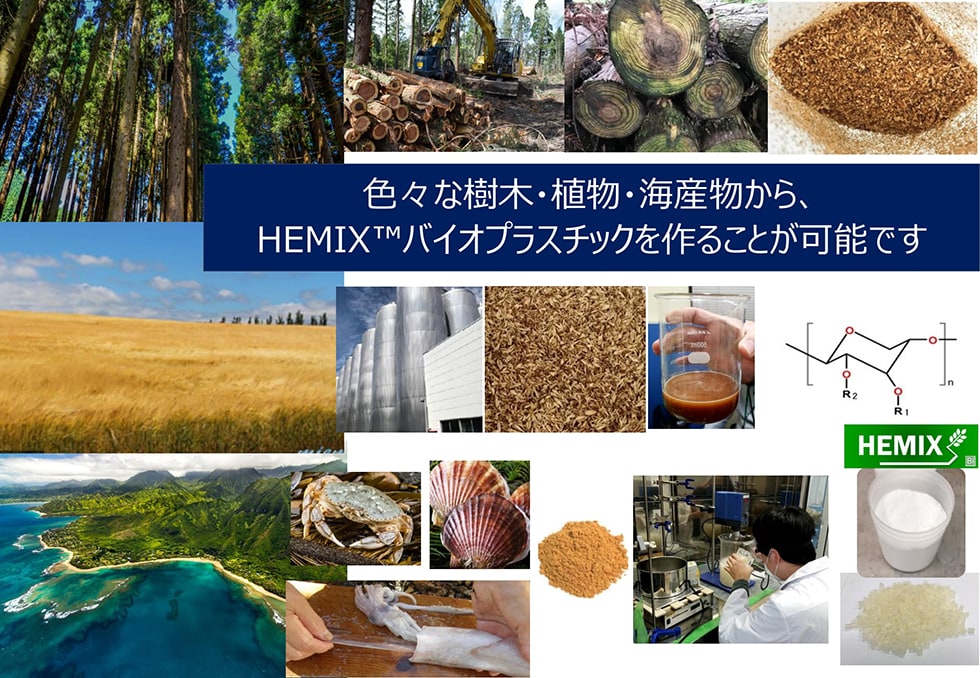 株式会社環境経営総合研究所 出展概要画像1