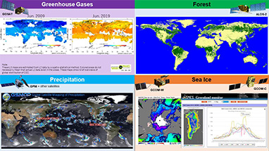 JAXA Earth Observation Satellites Data